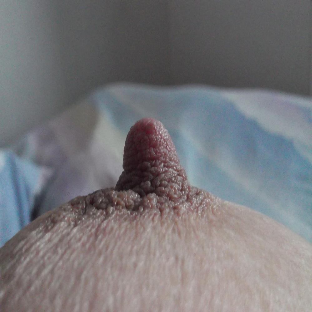 23P Nipples