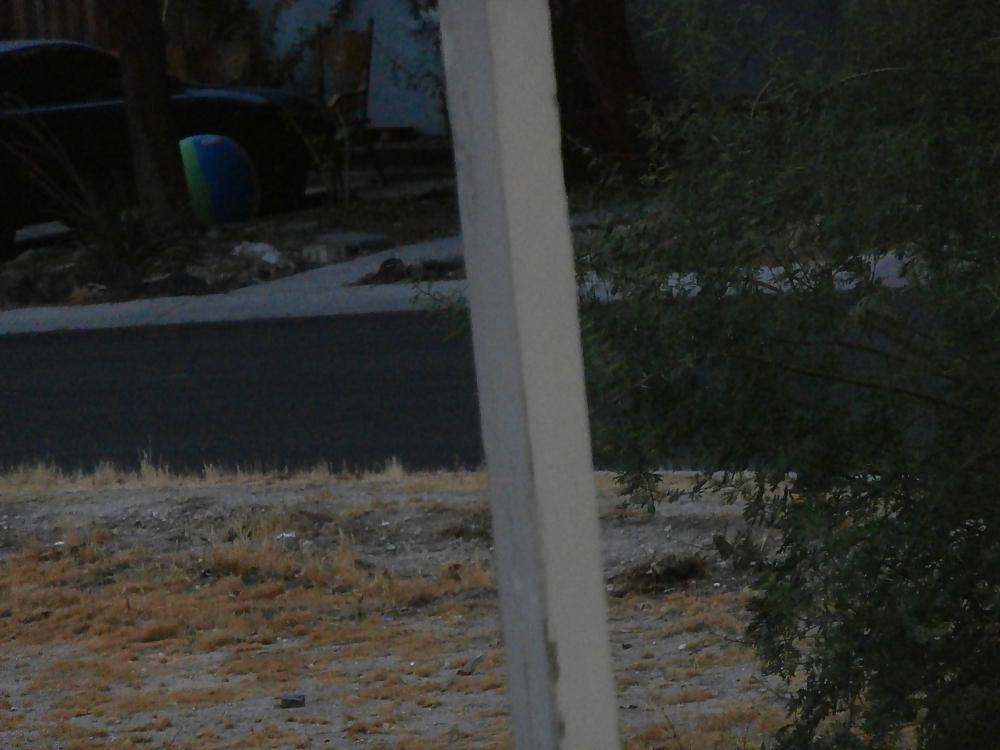 10P Coveting my neighbor's beach ball! I want it badly!