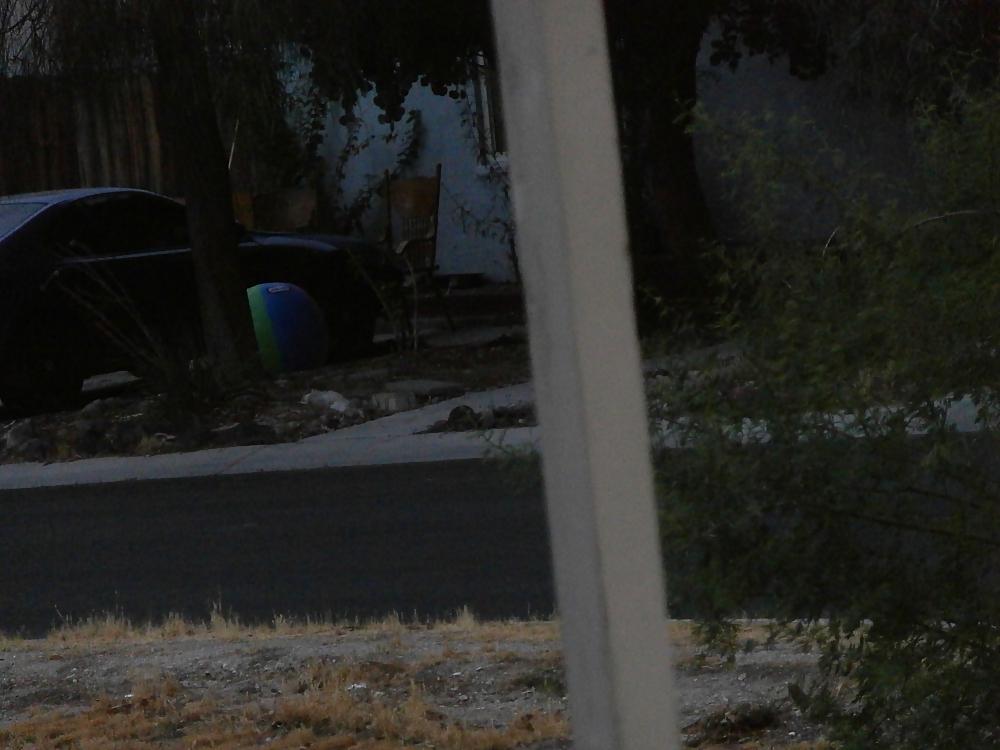 10P Coveting my neighbor's beach ball! I want it badly!