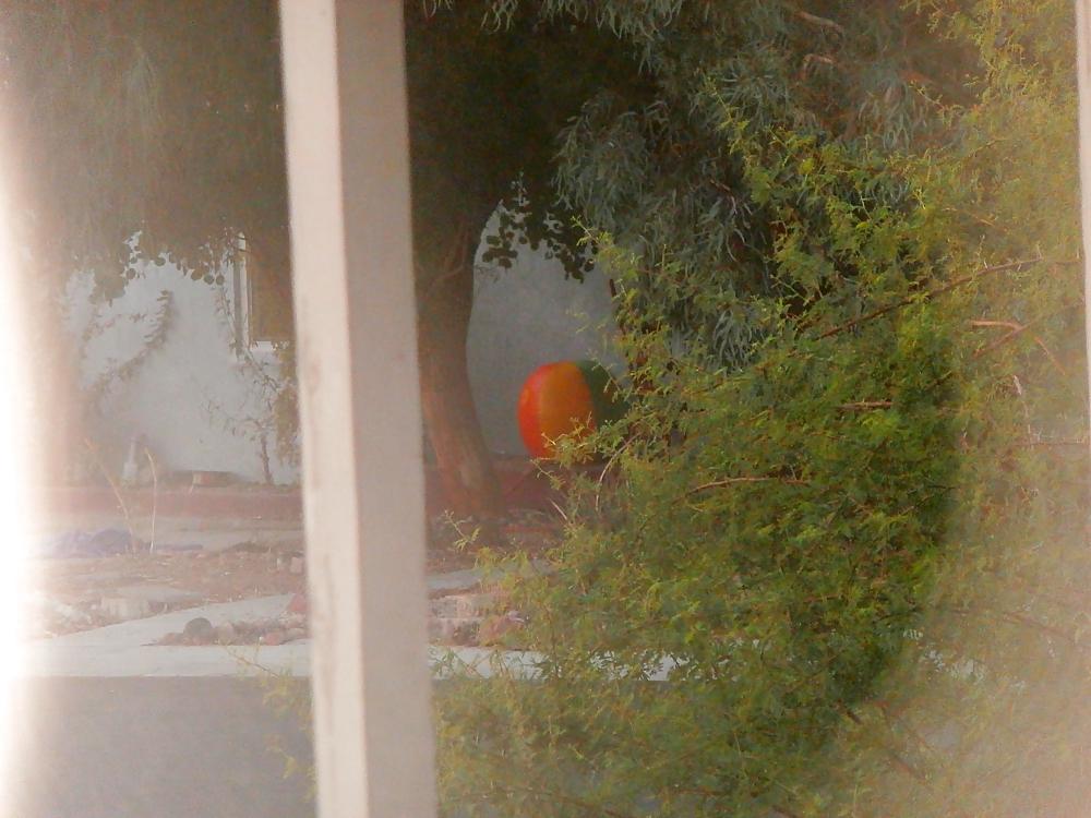 10P Coveting my neighbor's beach ball! I want it badly!