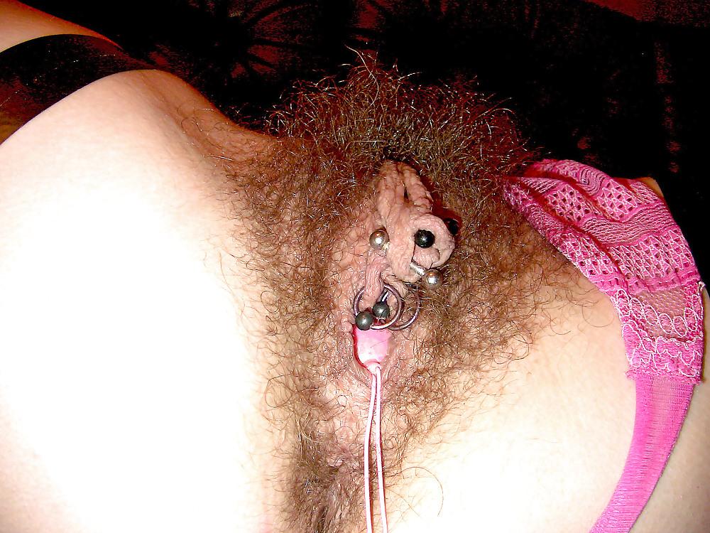 14P Tim37 bound hairy