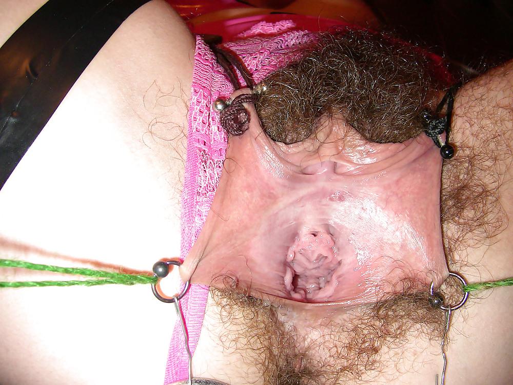14P Tim37 bound hairy