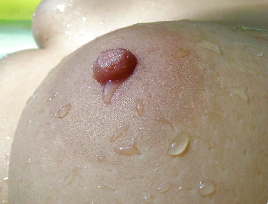 25P Just nipples...ass-lover