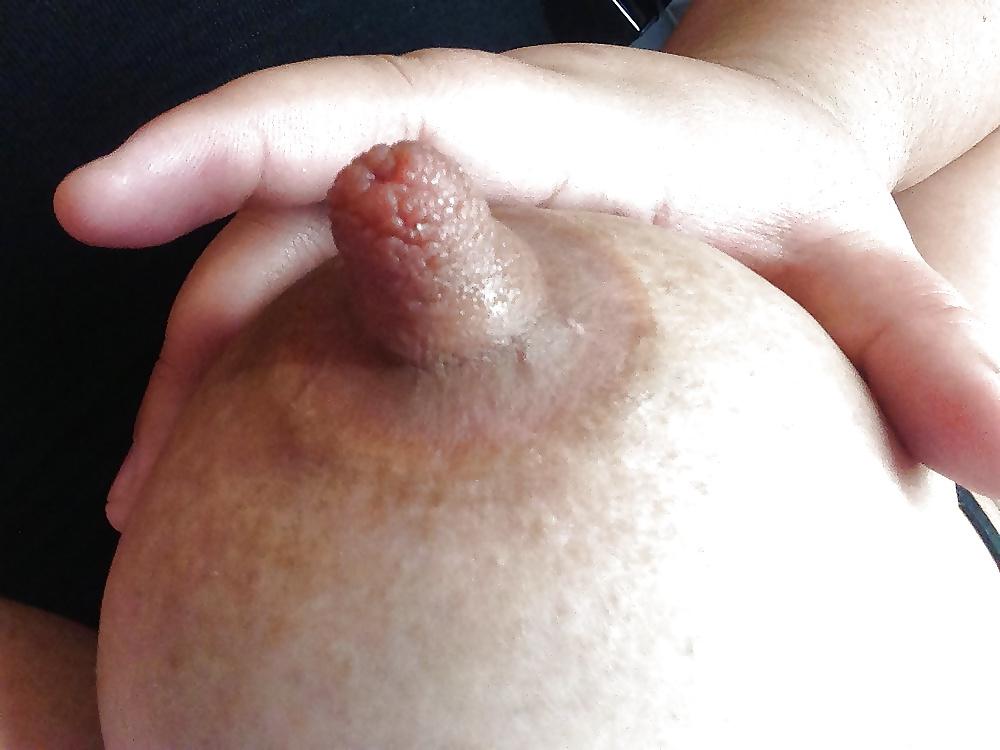 25P Exotic Tits 17