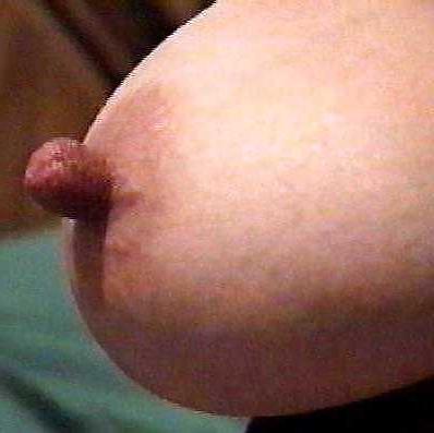 25P Nipples collection7