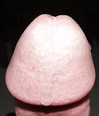 5P My cock - pre cum