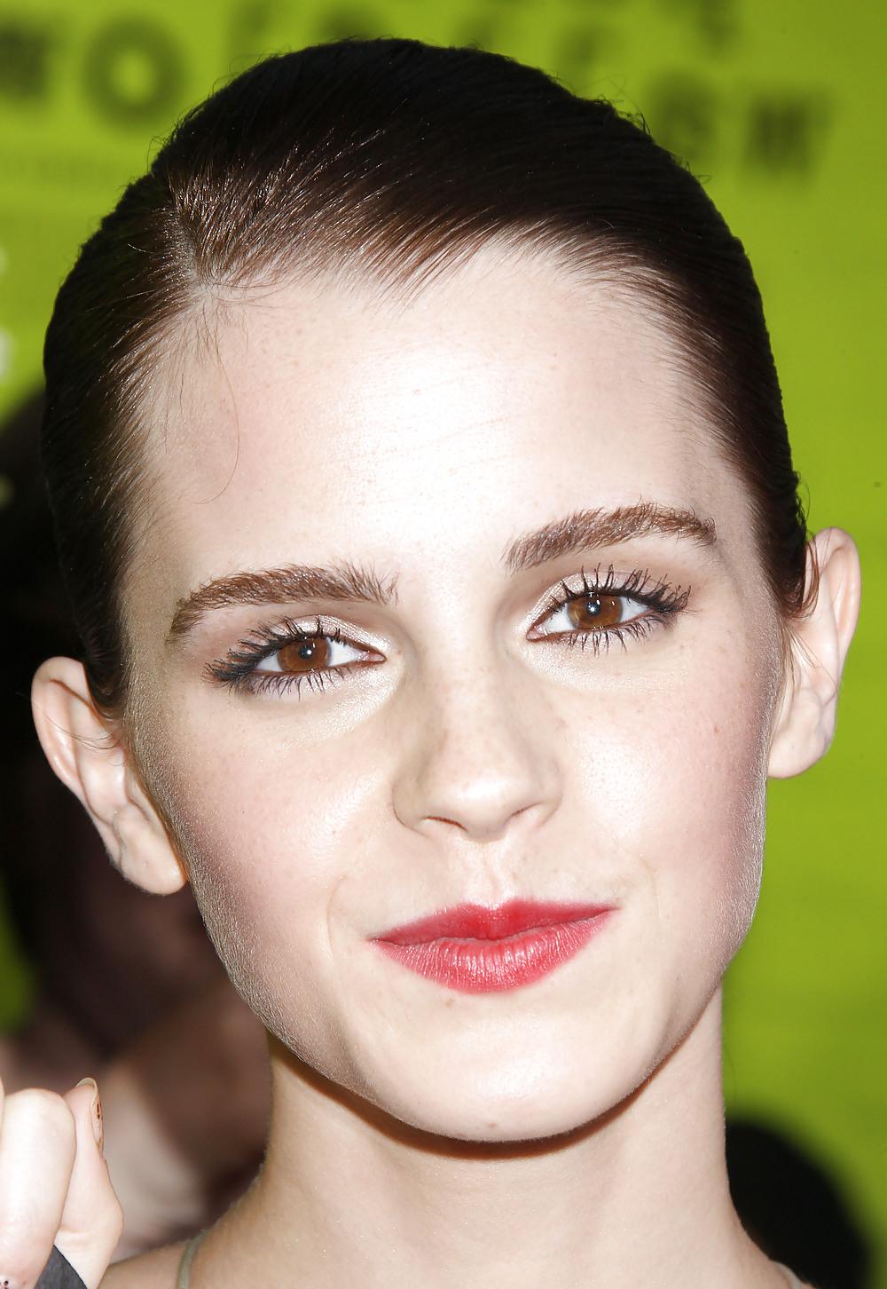 25P Excellent Emma Watson Fakes Part 2