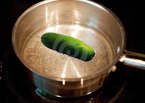 15P Cucumber Vegina or Choot
