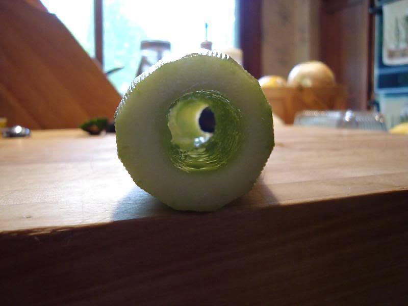 15P Cucumber Vegina or Choot