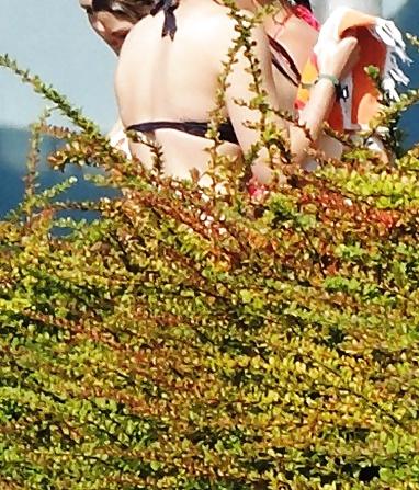 15P Sluts secretly photographed   in the outdoor swimming pool