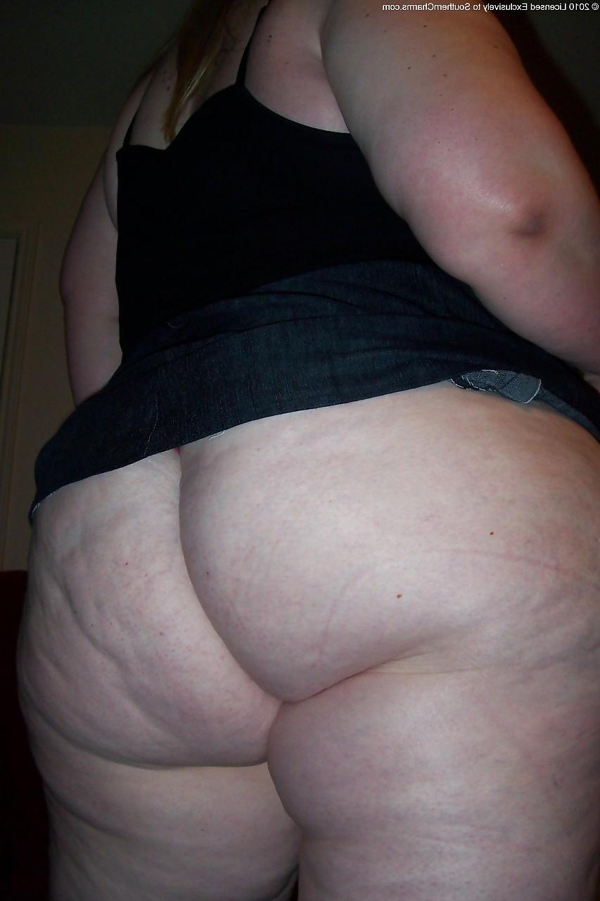 25P My collection of Asses by J.T.