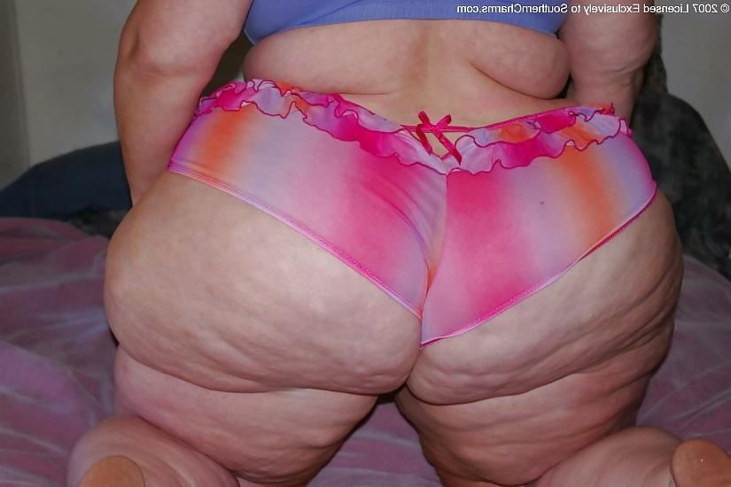 25P My collection of Asses by J.T.