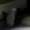 14P Internal