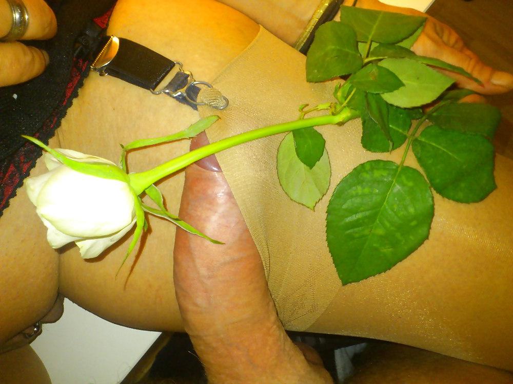 25P Wife posing in sexy stockings friday night