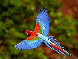 25P Exotic Place in Indonesia you must see. 