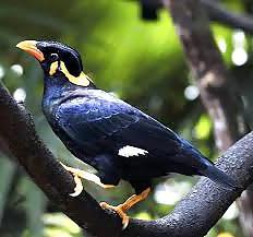 25P Exotic Place in Indonesia you must see. 