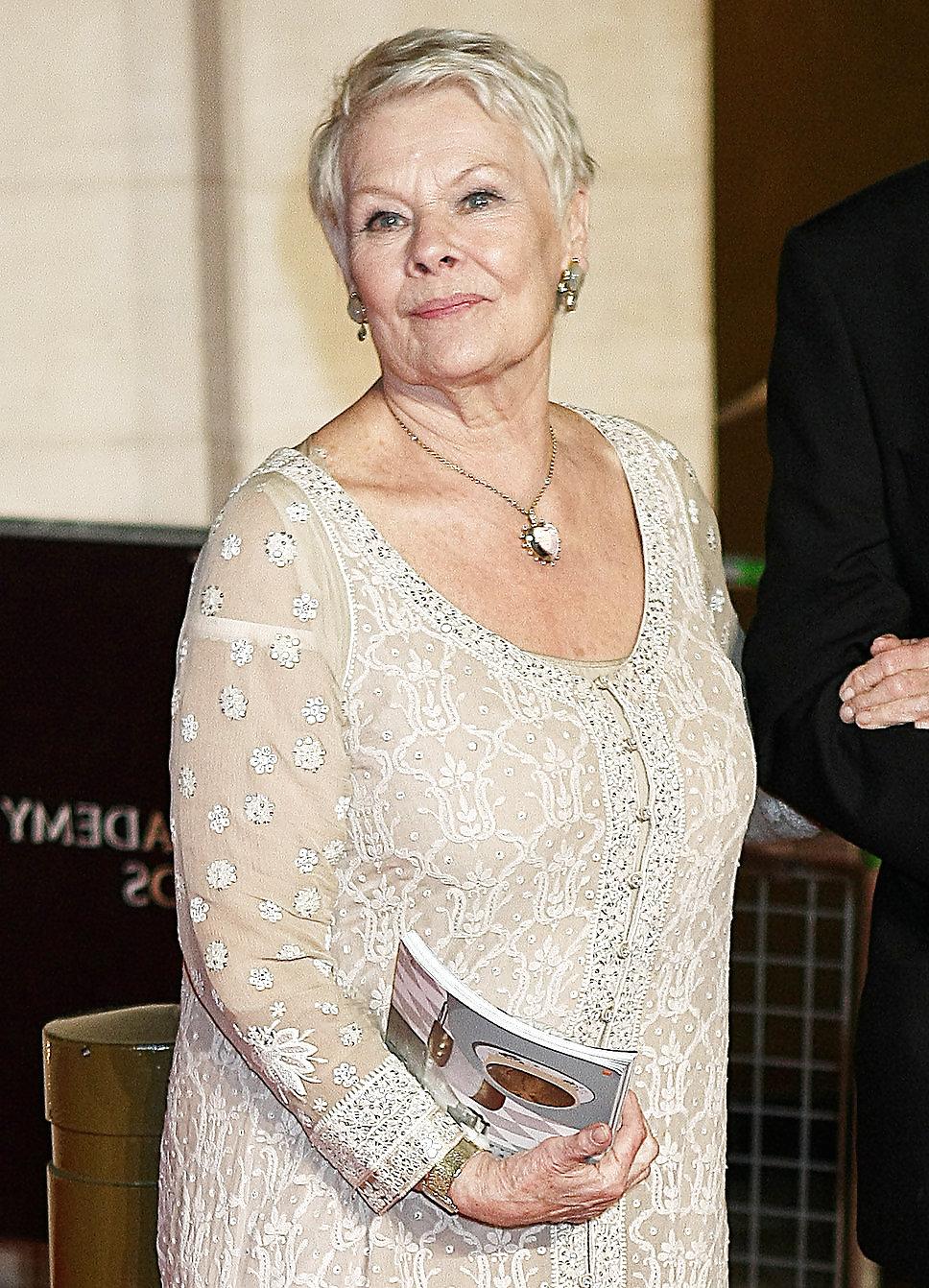 18P Judi Dench Big Tits Gilf (Ongoing)