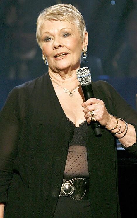 18P Judi Dench Big Tits Gilf (Ongoing)