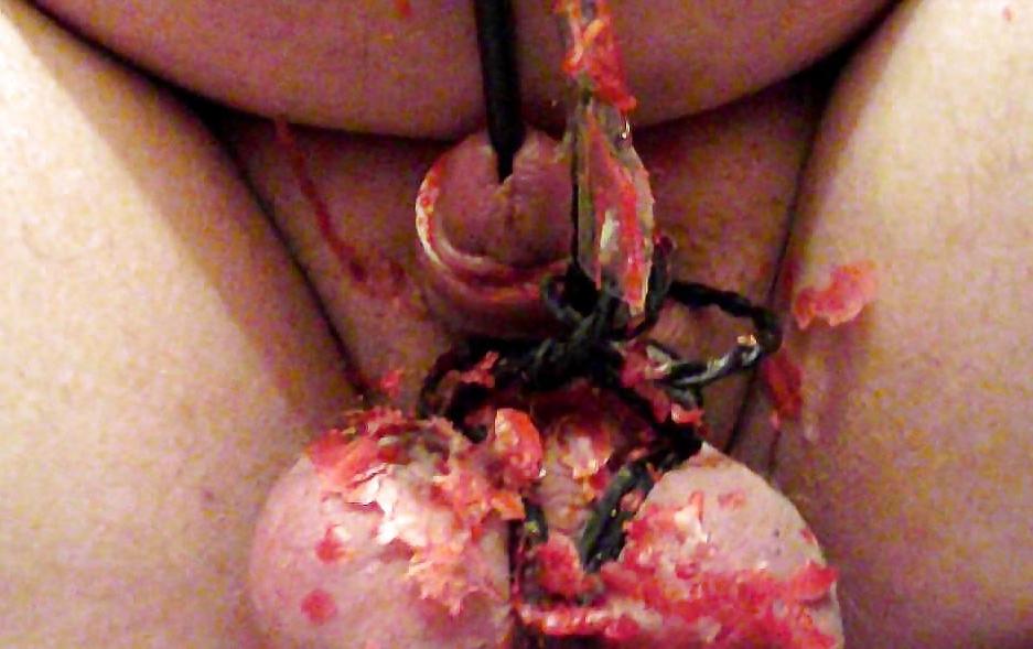 7P Whip my balls cbt