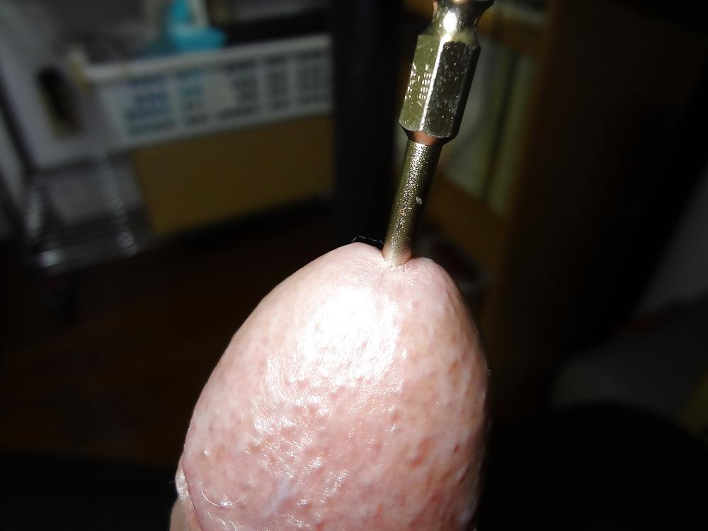 12P The urethra insertion