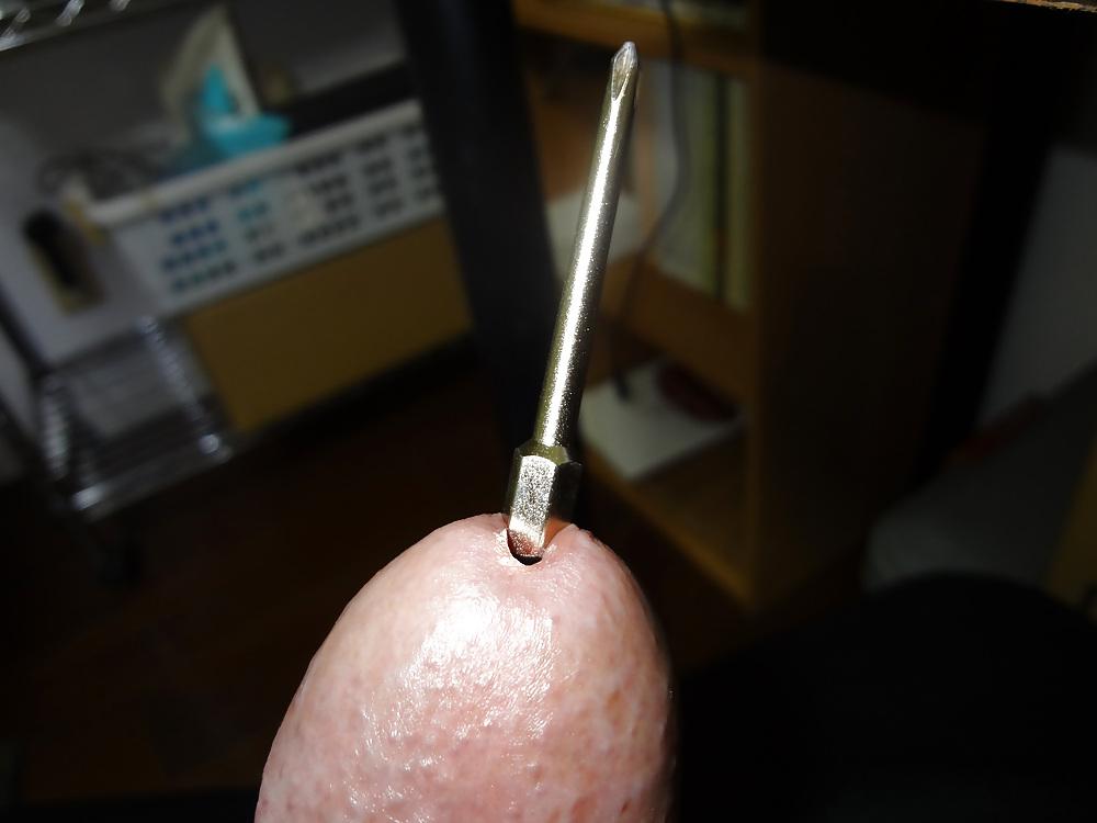 12P The urethra insertion