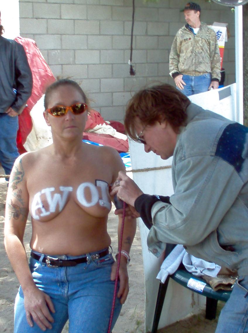 19P Painted tits