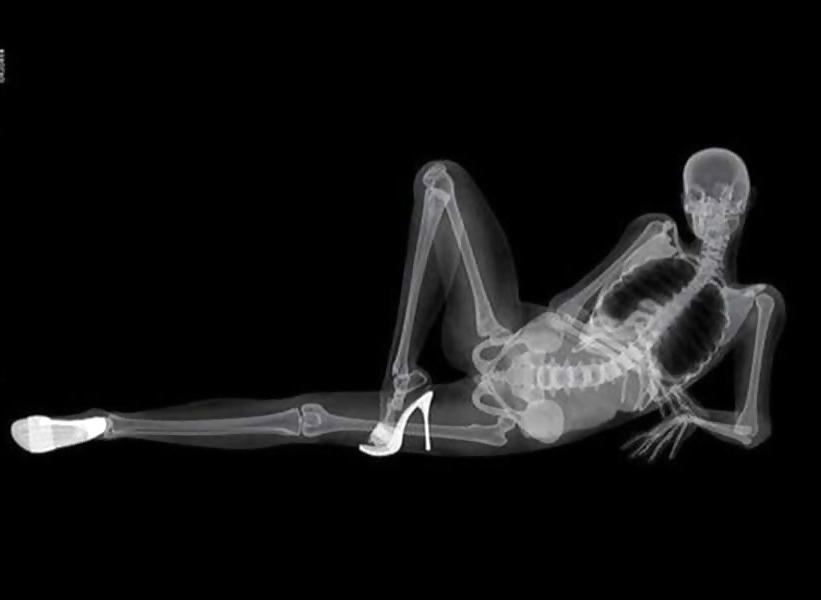 13P Celebrity - seethrough.