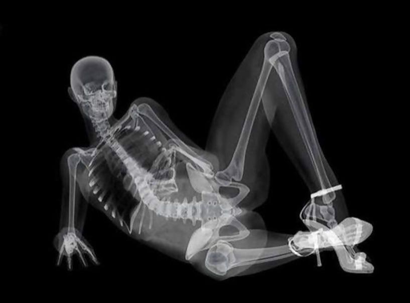 13P Celebrity - seethrough.