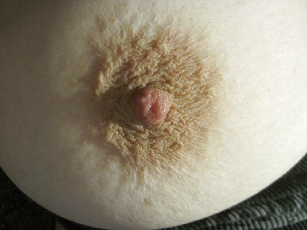 12P Nipples and binder clips