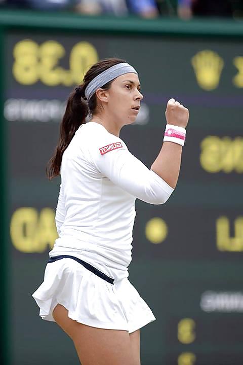 25P Marion bartoli
