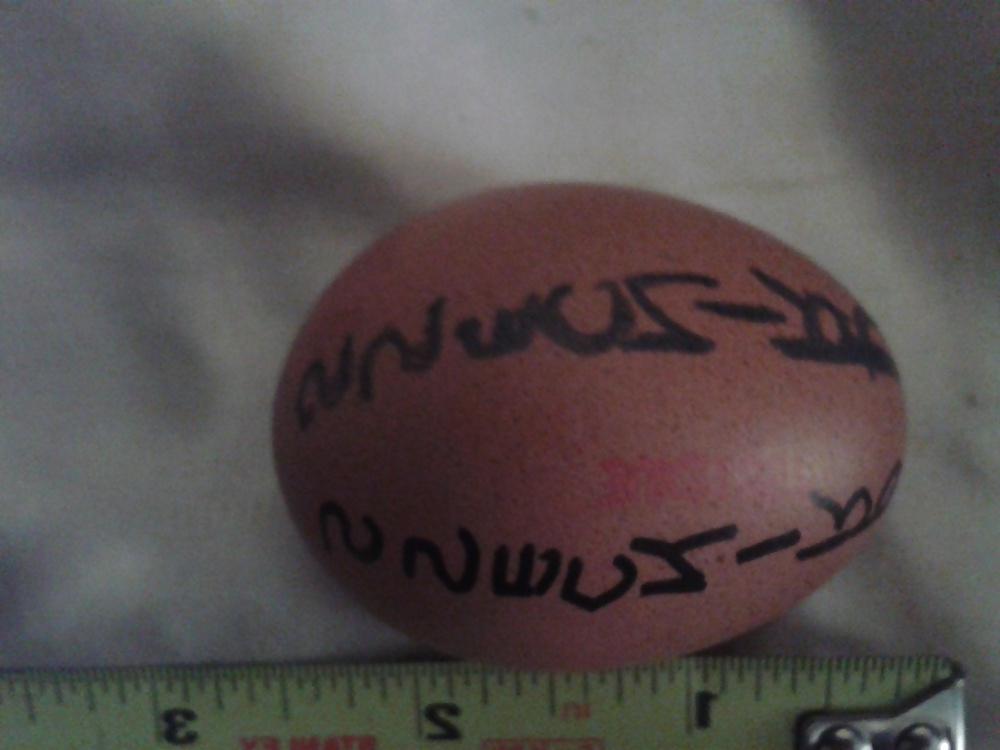 18P Balls was as big as chicken eggs before the blowjob