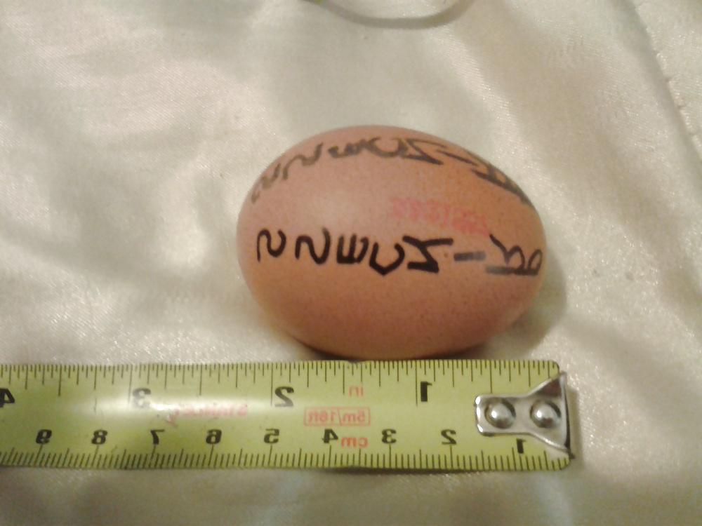 18P Balls was as big as chicken eggs before the blowjob