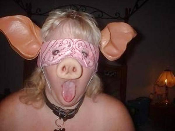 18P Pig Submissive Sluts