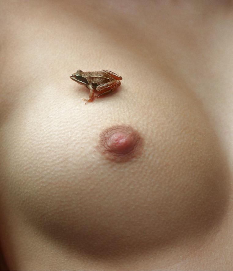 12P Some of my favourite Boobs and nipples