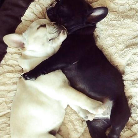 4P Interracial Love