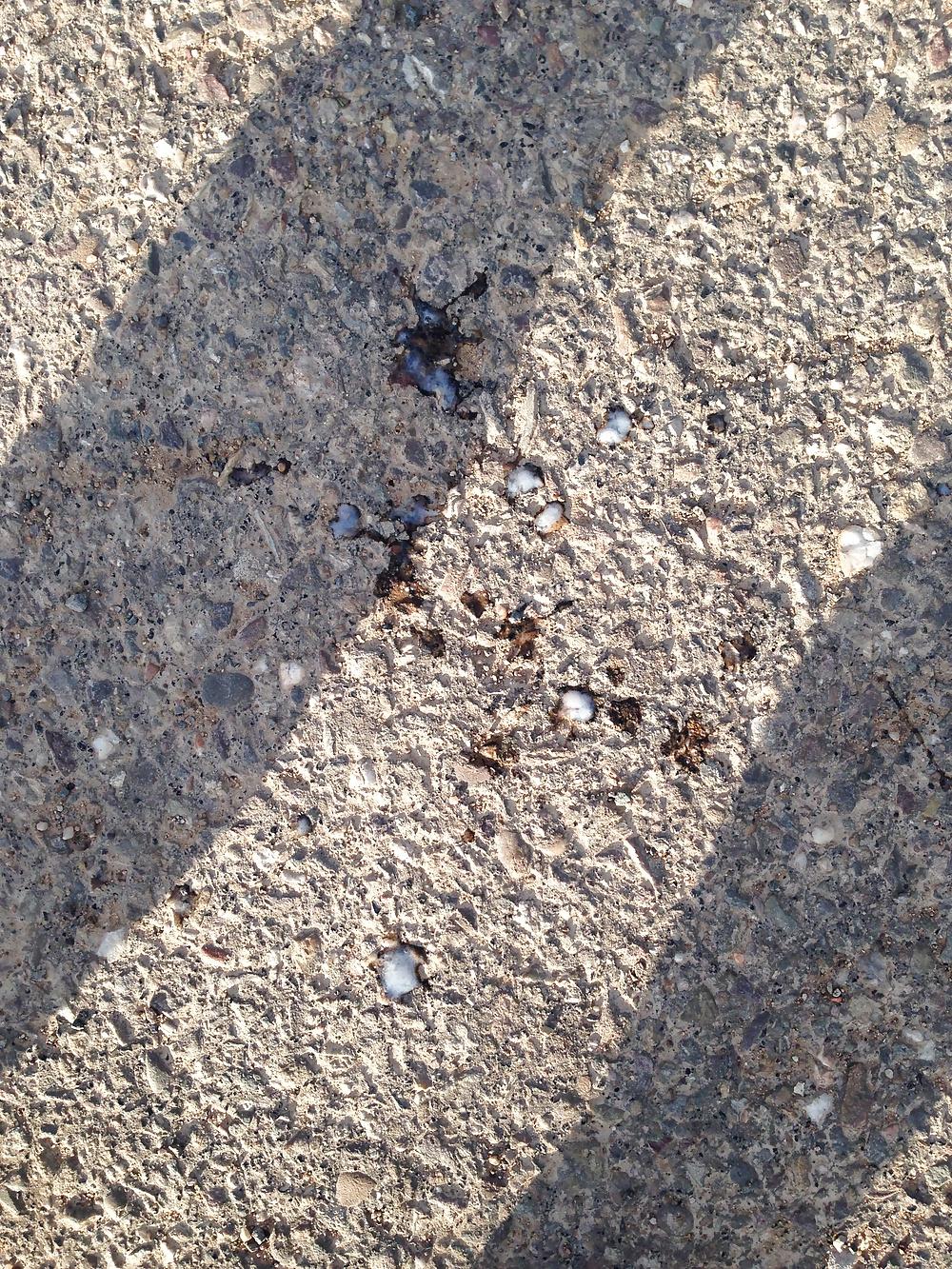 10P Outdoor wank was so turned on by a horny bbw I had to jerk