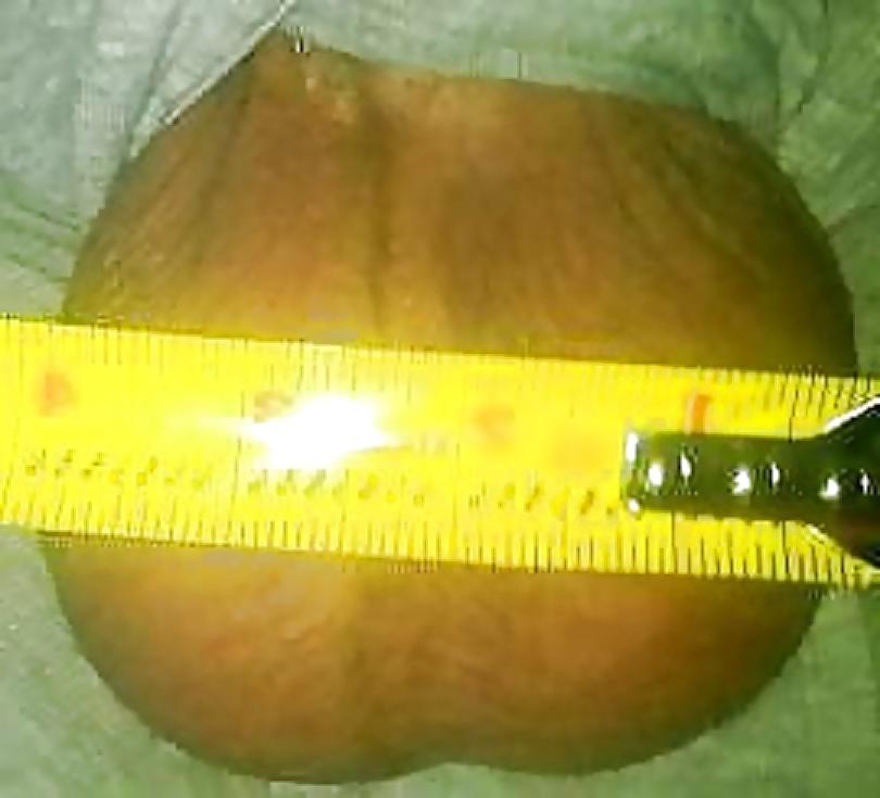 7P Big Cock And Balls