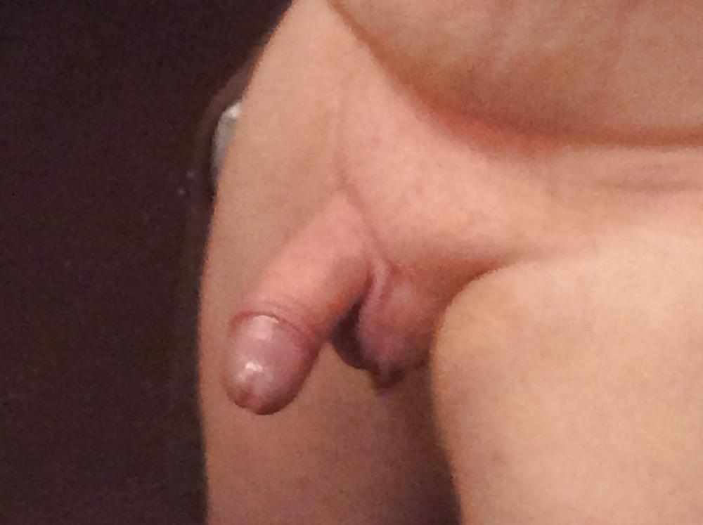 4P Shaven cock and balls