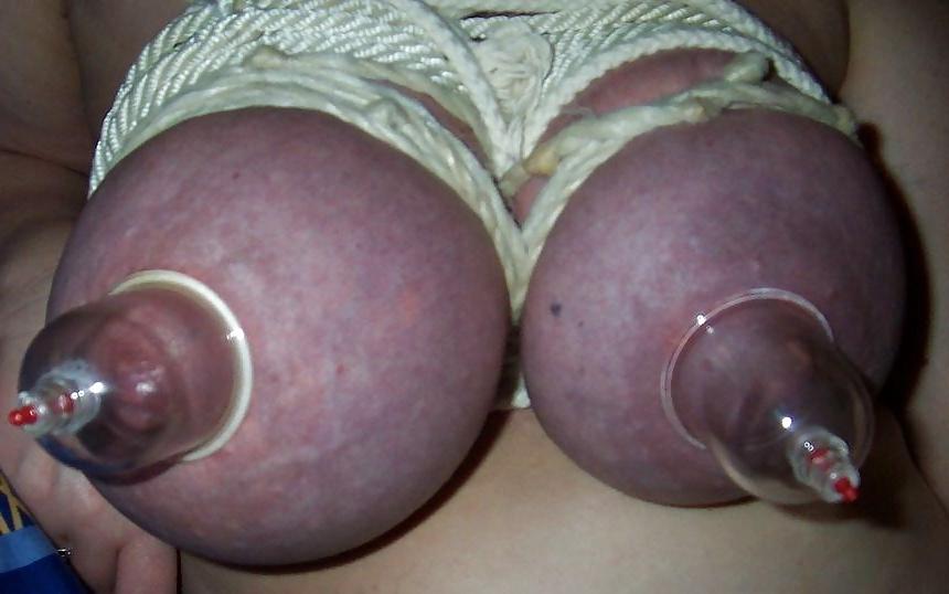 22P Bound tits (web found)