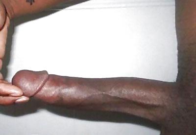13P Black mamba
