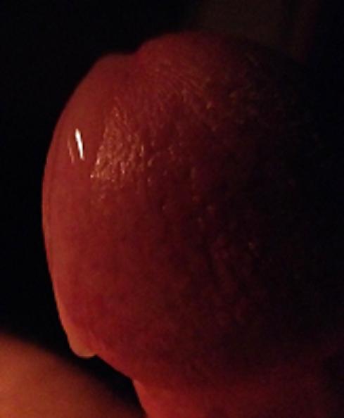 18P Pre Cum Taste