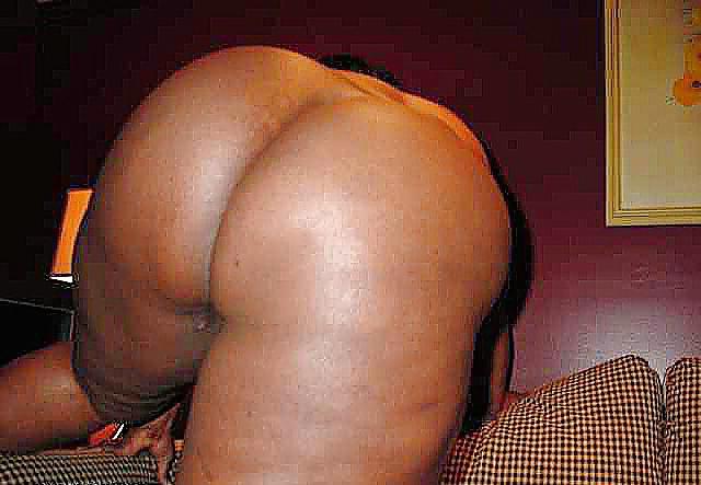 19P Donk wit lines 14