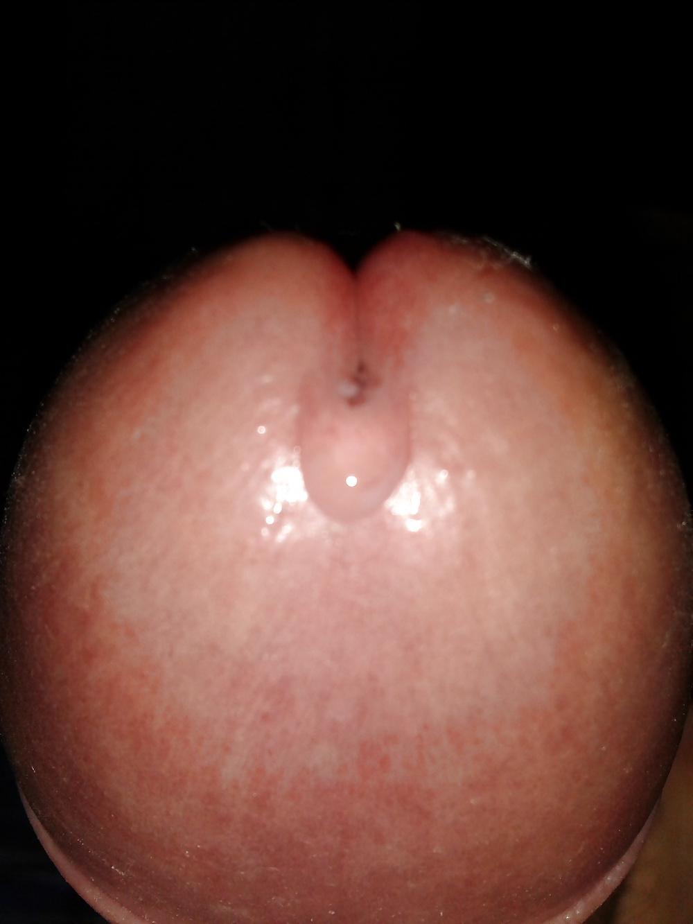 14P Hard cock and pre cum