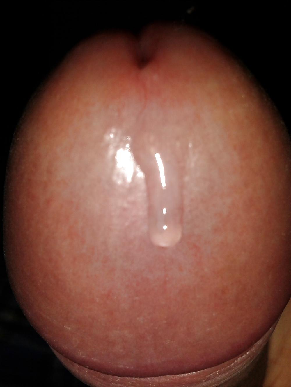 14P Hard cock and pre cum