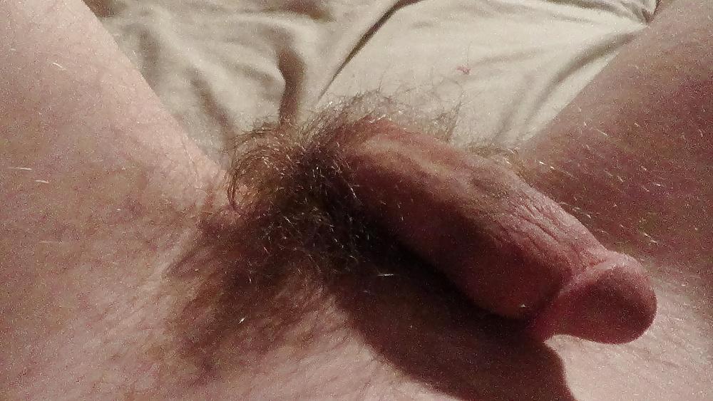 9P Hairy Ass and Balls