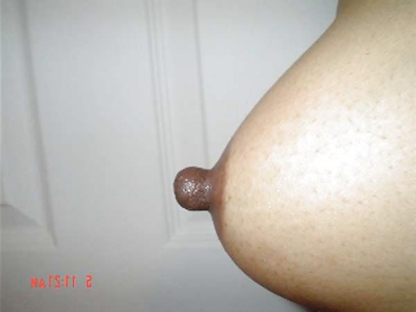 25P PERKY TITS AND BIG NIPS