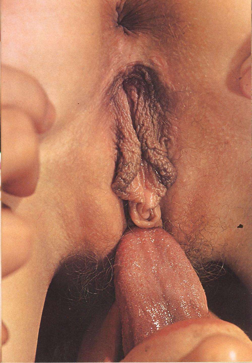25P Vintage porn 13