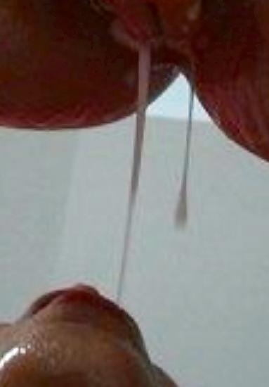 25P Creampie licking