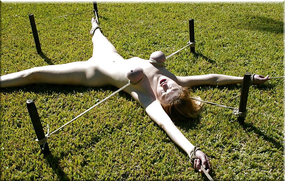 25P Lion's: Bound breasts - are simply captivating! (1)