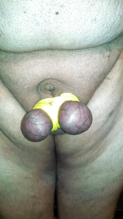 15P Ein paar schön gefolterte Schwänze und Eier